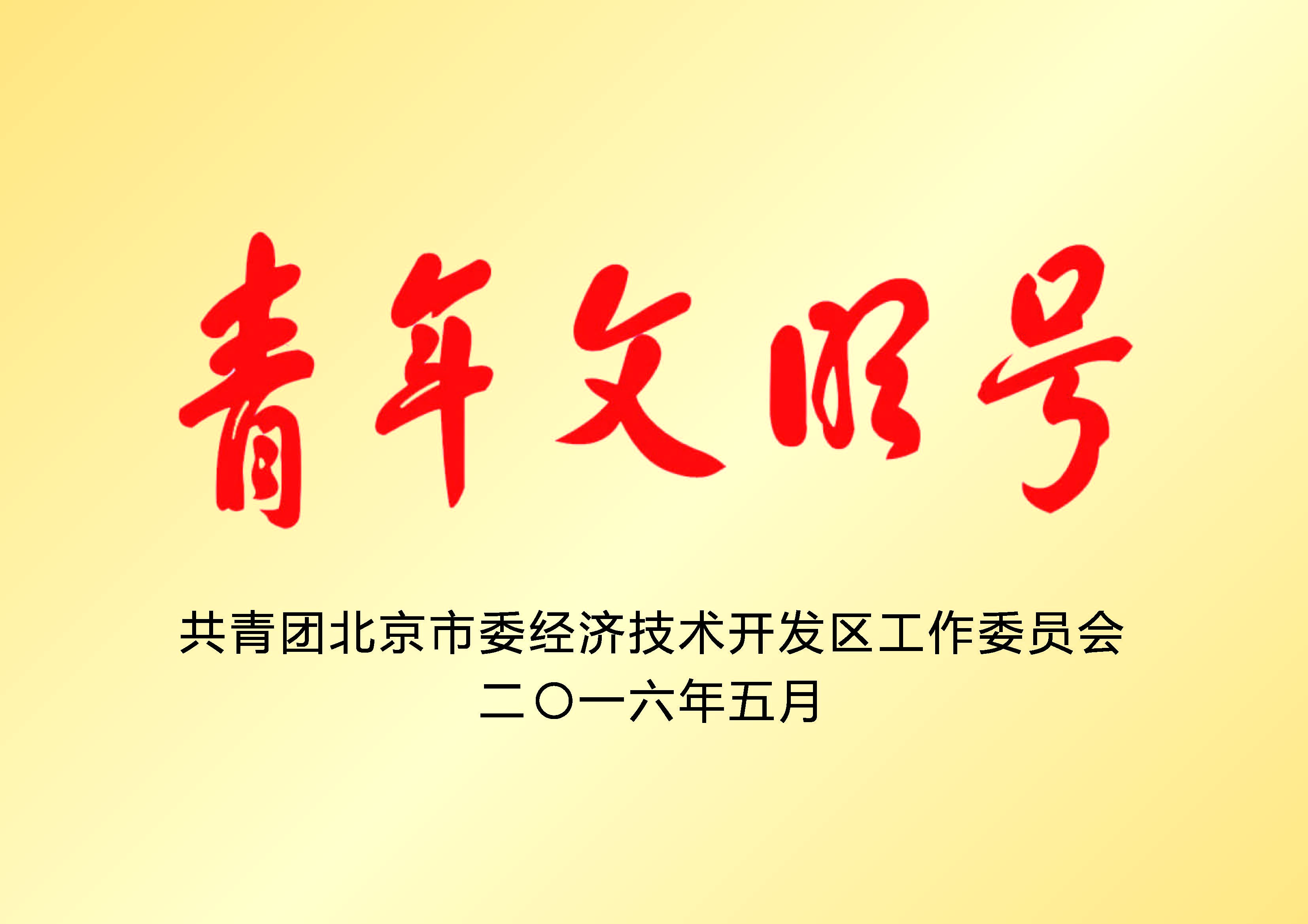 Youth Model Unit Award