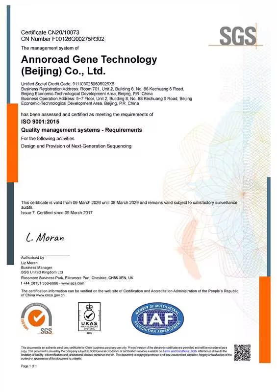 Quality Management System Certificate