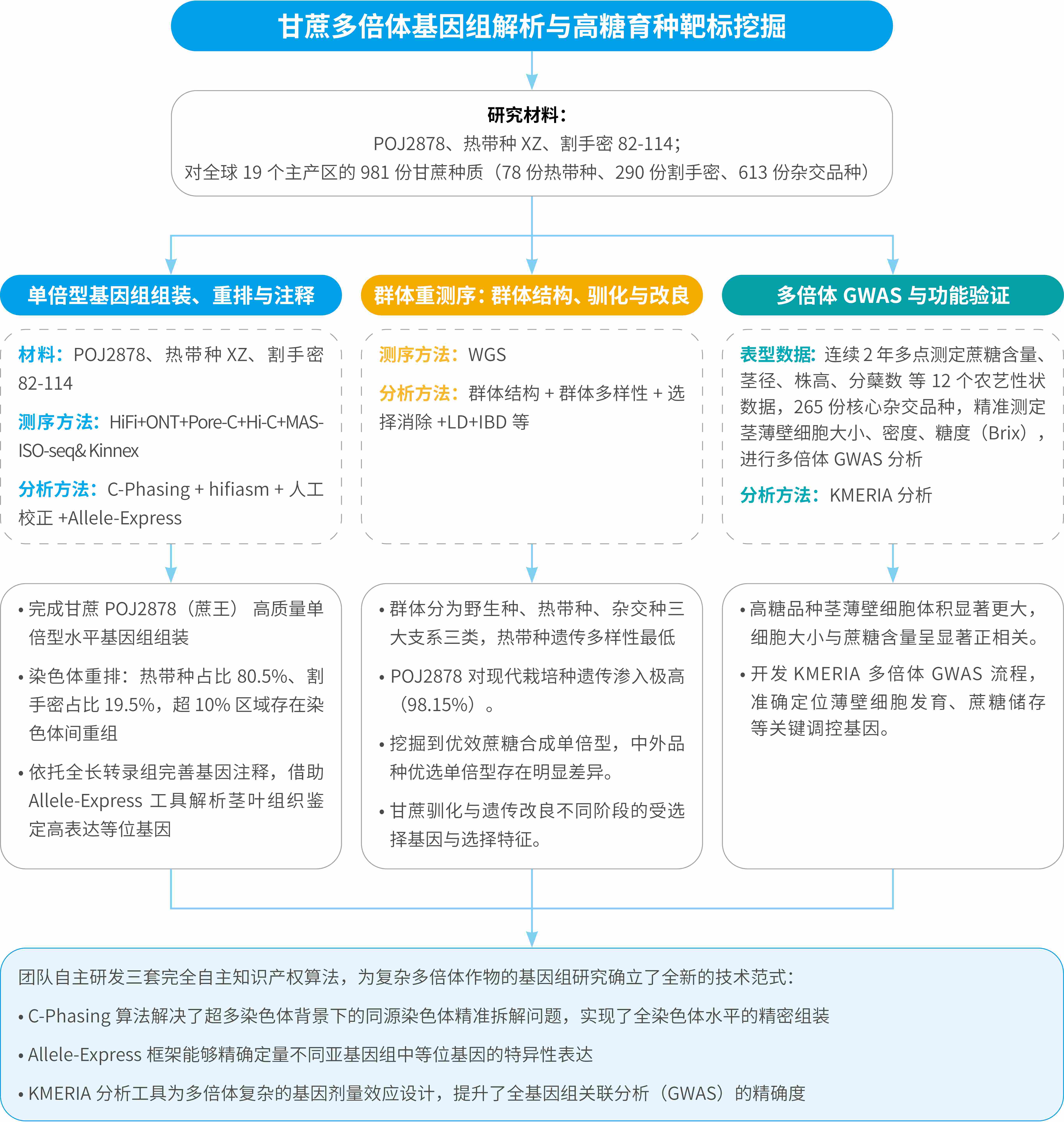 科服线-软文-多倍体甘蔗单倍型基因组破译插图202606023(3).jpg