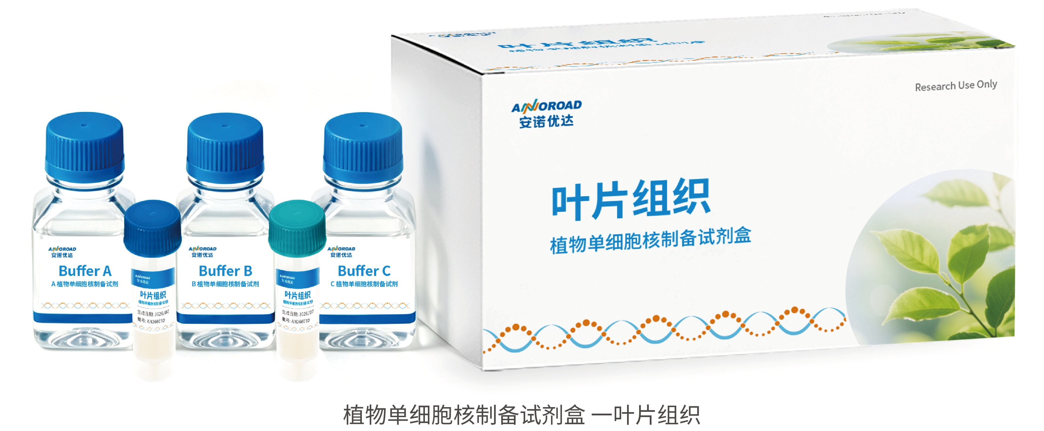 科服线-软文-植物单细胞核提取新流程-安诺优达植物单细胞经验展示3(1).jpg