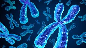 Genome Biology项目文章 | 安诺助力鱼类Y染色体完整图谱构建完成