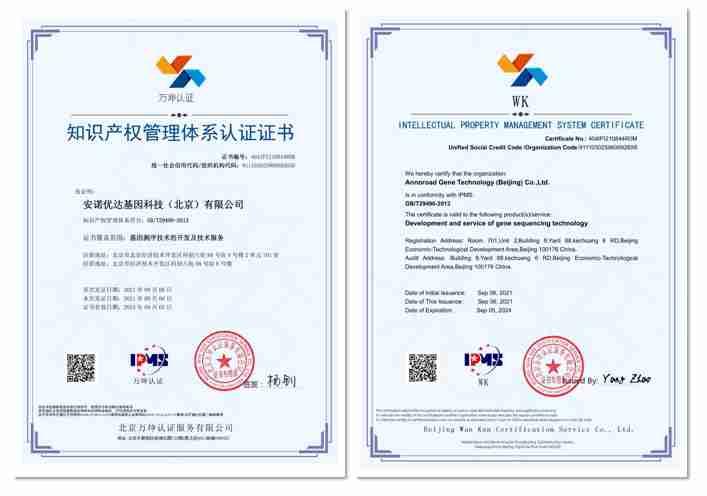Intellectual Property System Certificate