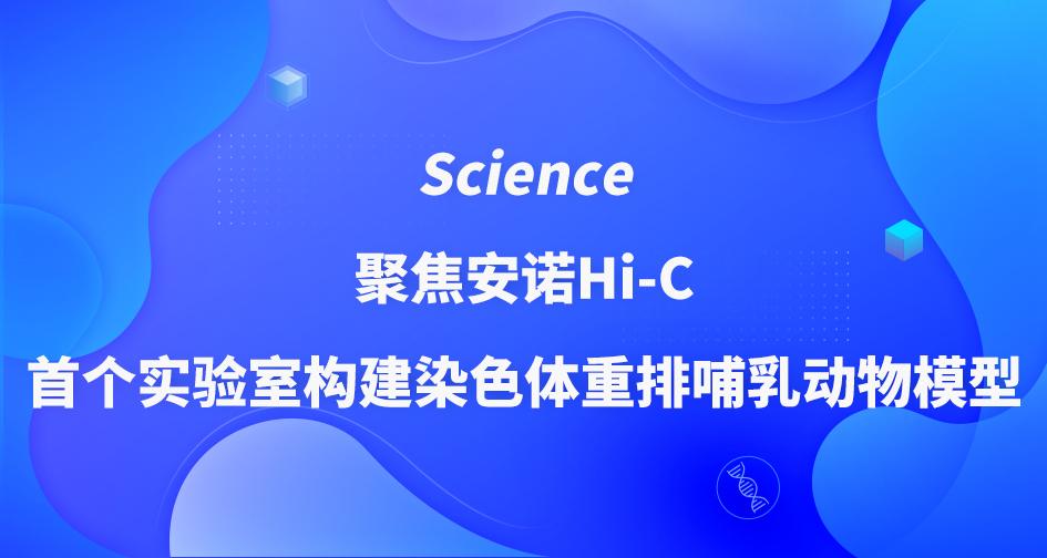 安诺优达-用科技和创新提升生命品质
